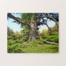 Recherche de liban puzzles Pour tous