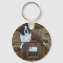 Recherche de chien de bernard porteclés Chiens