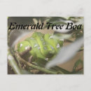 Recherche de boa cartes postales Serpent