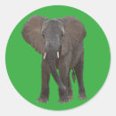 Recherche de kenya autocollants Faune