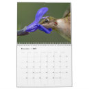 Recherche de colibris calendriers Faune