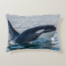 Recherche de épaulard coussins Baleine