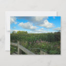 Recherche de champ agricole posters Matin