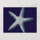 Recherche de indigo cartes postales Coquillages