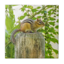 Recherche de poteaux carreaux Bois