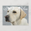 Recherche de i love cartes postales Je t'aime