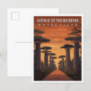 Recherche de baobab cartes postales Nature