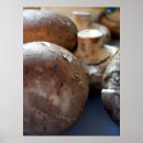 Recherche de comestible posters Photographie