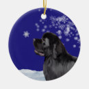 Recherche de newfie ornements Noël