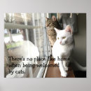 Recherche de chaton adorable posters Amoureux des chats