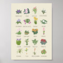 Recherche de pouces de posters Pour elle