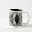 Recherche de 19ème siècle tasses Vintage