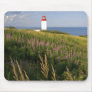 Recherche de st martin électronique Paysage