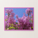 Recherche de syringa Ciel bleu