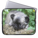 Recherche de chiwawa macbook housses 7 semaines