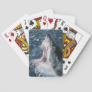Recherche de grands poissons jeux de cartes Animal