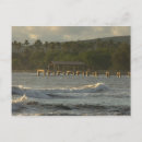 Recherche de pacifique cartes postales Palmier