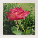 Recherche de pétales roses puzzles Rouge