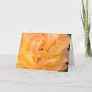 Recherche de macro vœux cartes Plan rapproché