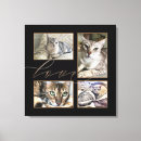 Recherche de chats impressions sur toile Amour