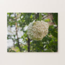 Recherche de fleurs blanches puzzles Jardin