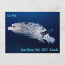 Recherche de trou cartes postales Mer