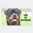 Recherche de rotweiller autocollants Animal