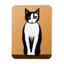 Recherche de chat noir blanc magnets Chatte