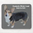 Recherche de gallois tapis souris Corgi