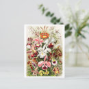 Recherche de orchidée cartes postales Coloré