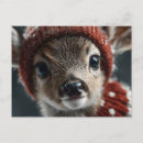 Recherche de faons cartes postales Cerf