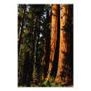 Recherche de californie posters Parc national