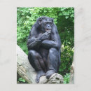 Recherche de bonobo cartes invitations Chillon