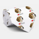 Recherche de chiot de beagle cravates Chiens