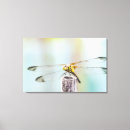 Recherche de dehors impressions sur toile Été