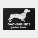 Recherche de teckel paillassons Doxie