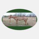 Recherche de mule autocollants Animal