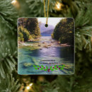 Recherche de argentin ornements Noël