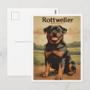 Recherche de chiots rottweiler cartes postales Amoureux des chiens