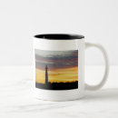Recherche de cape tasses Obx