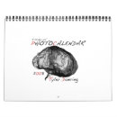 Recherche de tortue calendriers Animal