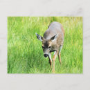 Recherche de ouvert cartes postales Travel