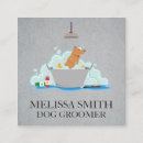 Recherche de professionnel médical animal cartes visite Animaux domestiques