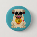 Recherche de carlins badges Animaux domestiques