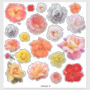 Recherche de vars autocollants Rose