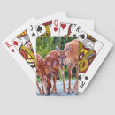 Recherche de bébé jeux de cartes Animal