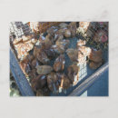 Recherche de fermier cartes postales Marché