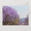 Recherche de johannesburg cartes postales Travel