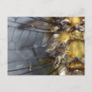 Recherche de macro cartes postales Photographie