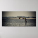 Recherche de maître nageur posters Mer